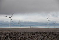 IMG_3358.jpg