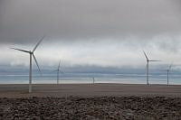IMG_3358.jpg